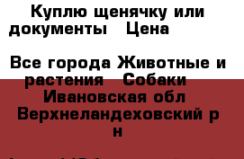 Куплю щенячку или документы › Цена ­ 3 000 - Все города Животные и растения » Собаки   . Ивановская обл.,Верхнеландеховский р-н